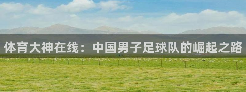 说球帝直播app：体育大神在线：中国男子足球队的崛起之路