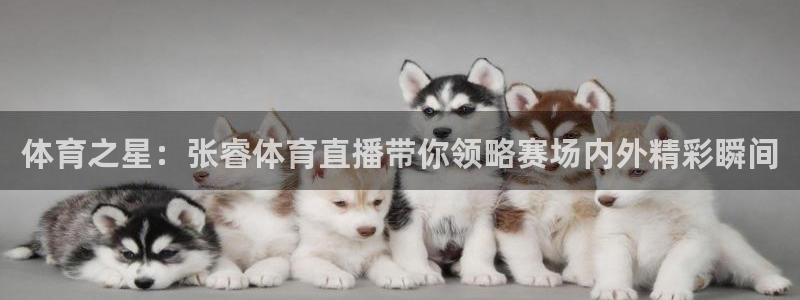 说球帝app：体育之星：张睿体育直播带你领略赛场内外精彩瞬间